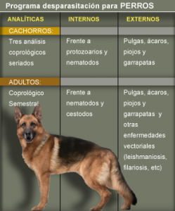 https://hospitalanimalesconcolas.com/images/desparasitacionPerro.png