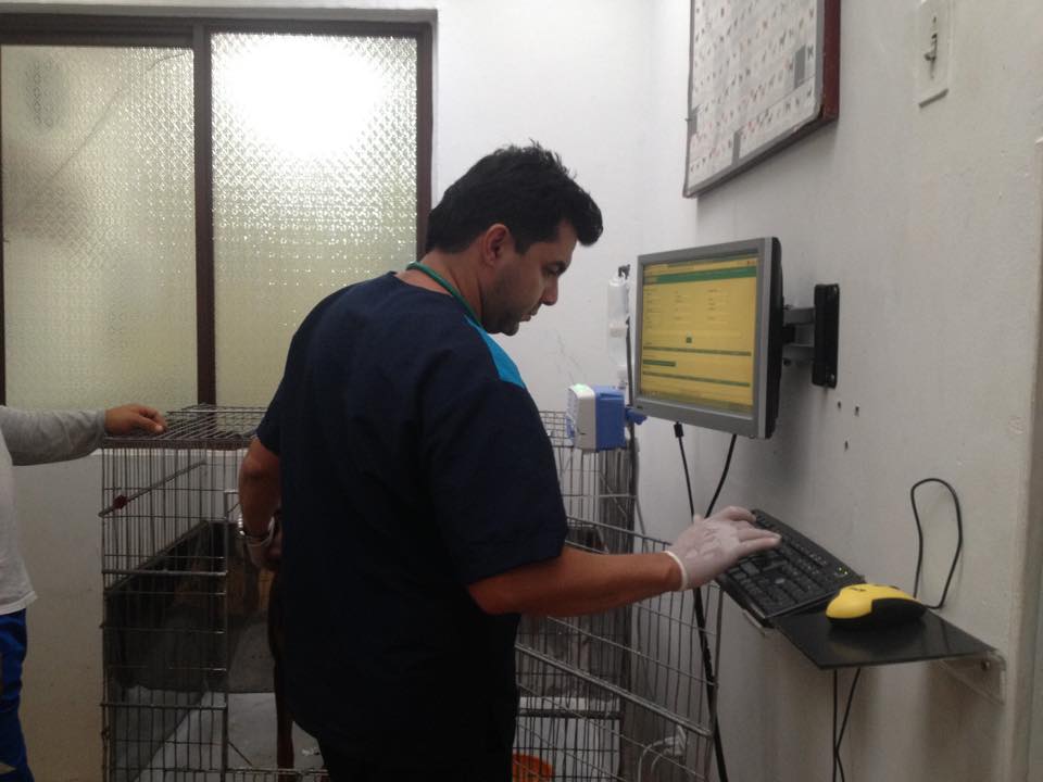 https://hospitalanimalesconcolas.com/images/hospitalizacionVeterinaria.jpg